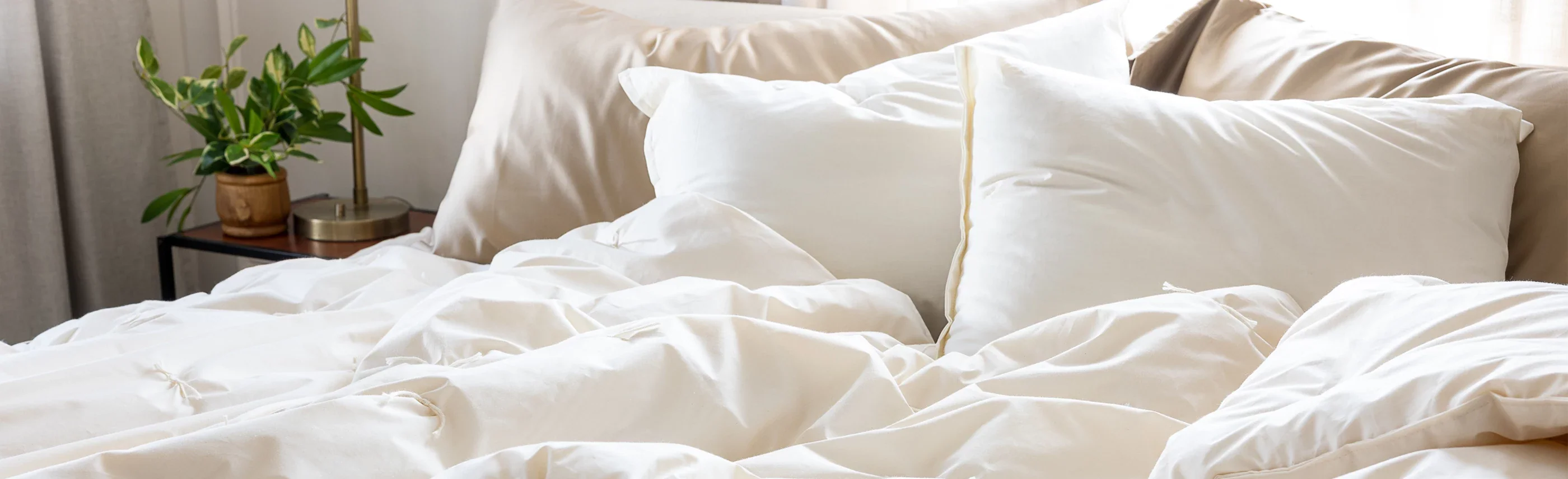 Sleep Naturally in Organic Wool